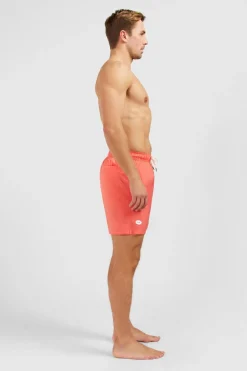Hot hort De Bain Roe Homme Maillots De Bain